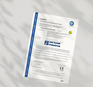 713334311_TPS-24-ATEX-Q-113744-0002_de